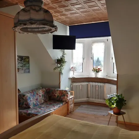 아파트 Schwalbennest Weißenstadt